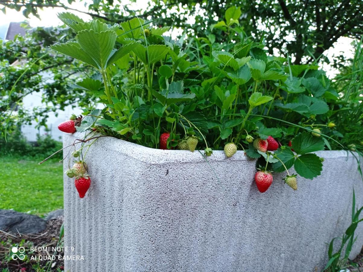 Il Giardino Segreto Apartamento Beura Exterior foto