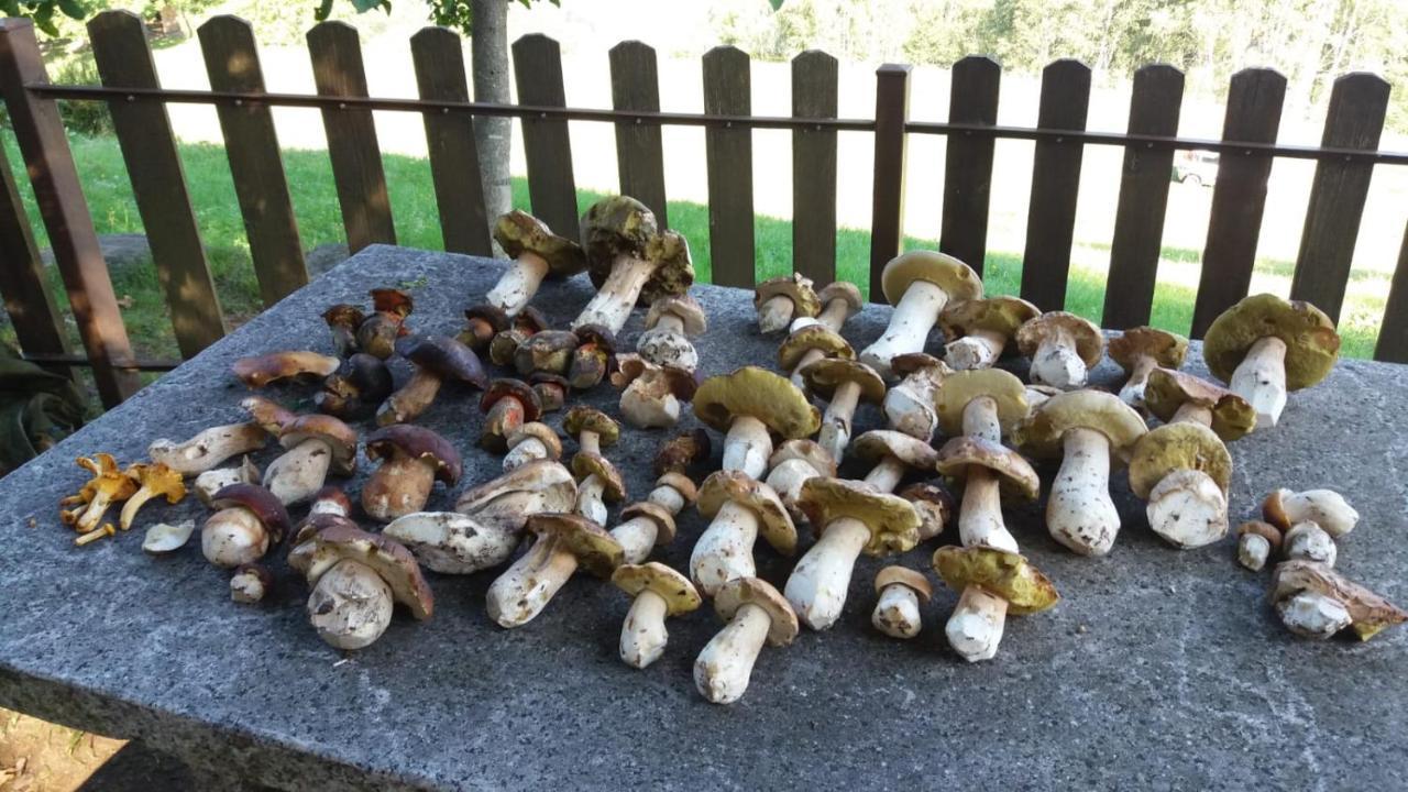 Il Giardino Segreto Apartamento Beura Exterior foto